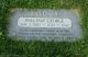 Family Headstone for William George Roddy in Winn